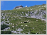 Slika_122.webp
