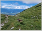 Slika_127.webp