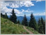 Slika_135.webp