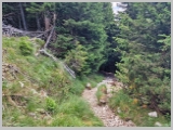 Slika_137.webp