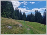 Slika_140.webp