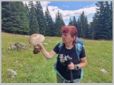 Slika_141.webp