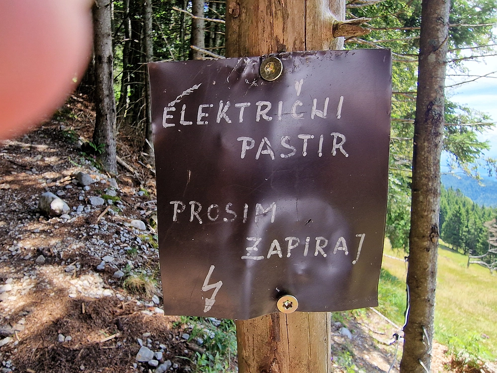 Slika je vidna v Google Chromu.