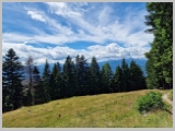 Slika_147.webp