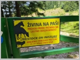 Slika_160.webp