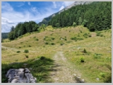 Slika_161.webp