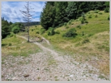 Slika_162.webp