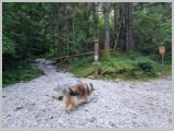 Slika_004.webp