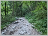 Slika_007.webp