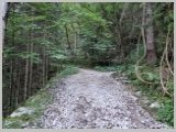 Slika_008.webp
