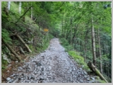 Slika_009.webp