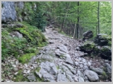 Slika_011.webp