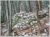 Slika_014.webp