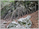 Slika_015.webp