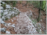 Slika_016.webp