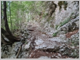 Slika_017.webp