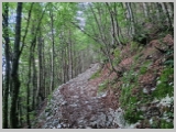 Slika_020.webp
