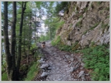 Slika_022.webp