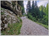 Slika_024.webp