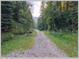 Slika_027.webp