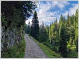 Slika_028.webp