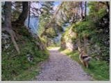 Slika_029.webp