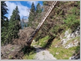 Slika_032.webp