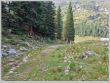 Slika_037.webp