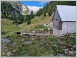 Slika_042.webp