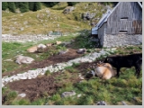 Slika_045.webp