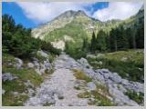 Slika_050.webp