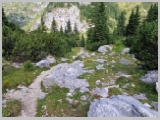 Slika_052.webp
