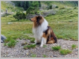 Slika_055.webp