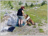 Slika_058.webp
