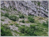 Slika_062.webp