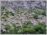 Slika_063.webp