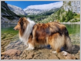 Slika_066.webp