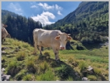 Slika_072.webp