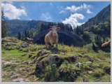 Slika_073.webp