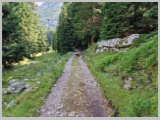 Slika_077.webp