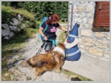 Slika_081.webp