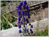 Slika_098.webp