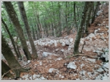 Slika_103.webp
