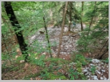 Slika_107.webp