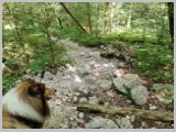 Slika_110.webp