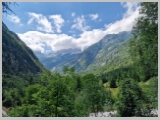 Slika_123.webp