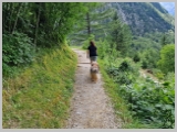Slika_124.webp