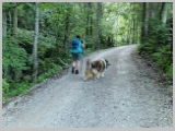 Slika_001.webp