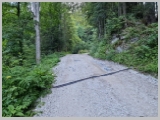 Slika_004.webp