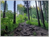 Slika_010.webp